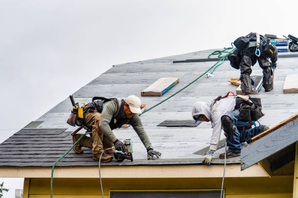 Professional Storm Damage Roof Repair technician working in Bailey, CO